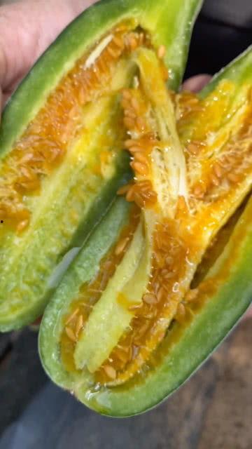 汝南吃瓜视频,揭秘当地特色美食与风土人情  第3张